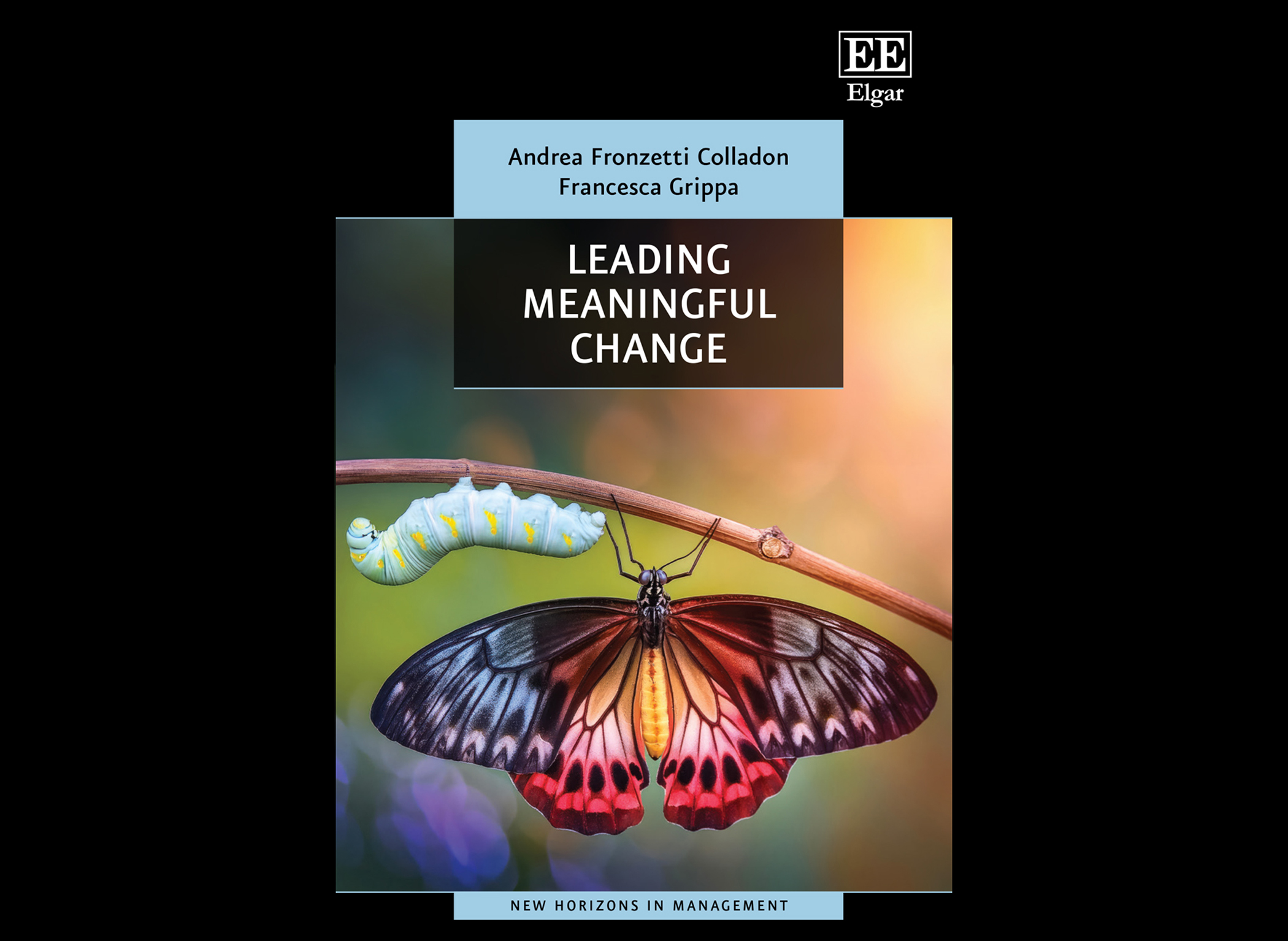 Leading Meaningful Change - Book